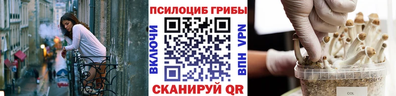 Купить где  Власиха  Галлюциногенные грибы мухоморы 